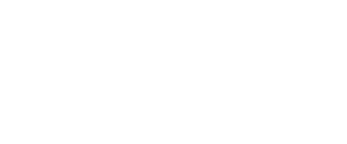 The Palm Tree Shop